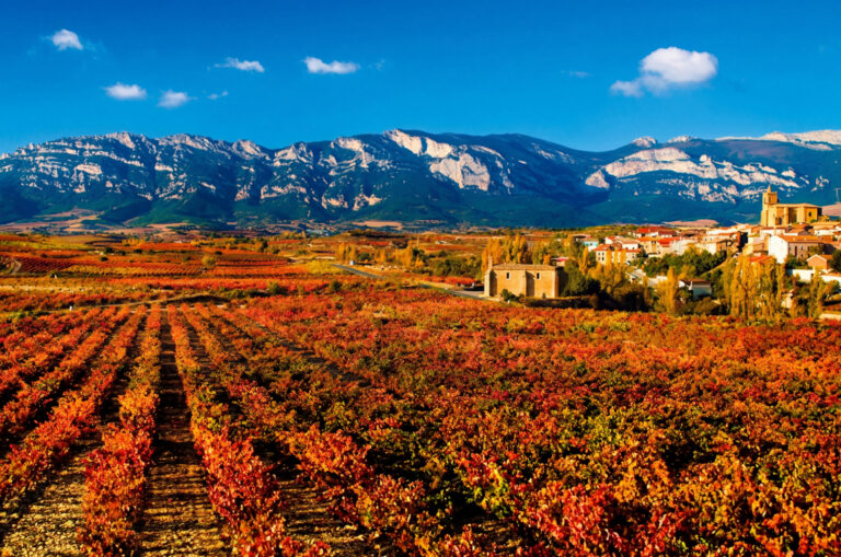 Vista panorámica de viñedos en un paisaje montañoso durante el otoño