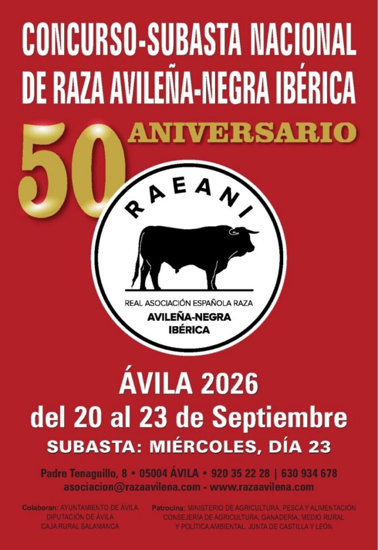 Cartel del Concurso Subasta Nacional de Raza Avileña-Negra Ibérica en Ávila