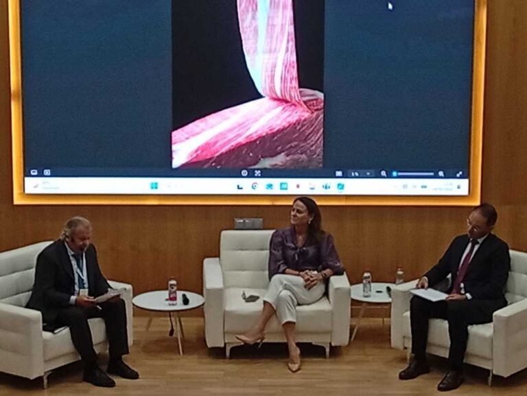 Panel de discusión en el Congreso DOP Dehesa de Extremadura con tres ponentes.