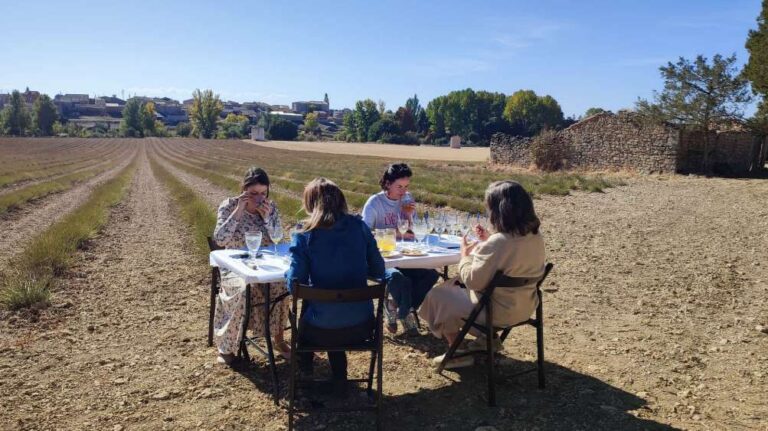 Cuatro personas degustando miel en un campo durante el certamen Mieladictos 2026