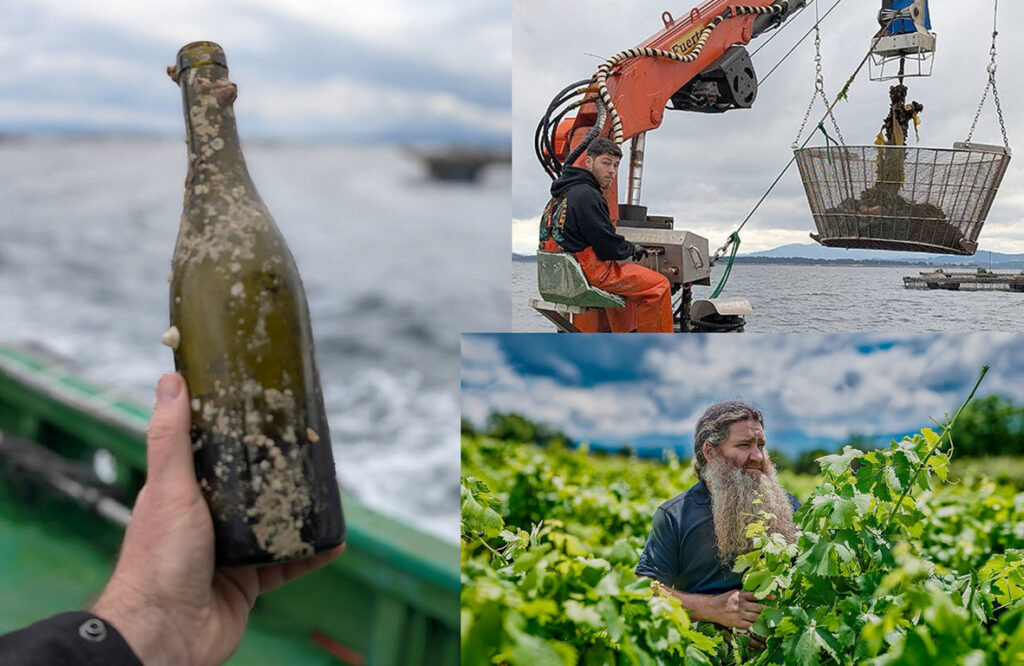 Botella de vino Albariño recuperada del fondo del mar