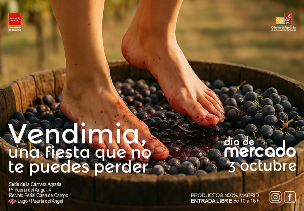 Personas pisando uvas en un evento de vendimia en Madrid