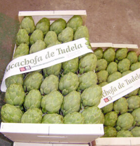 Alcachofas verdes de Tudela apiladas en cajas con etiquetas de indicación geográfica protegida.