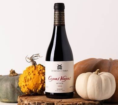 Botella de vino Cepas Viejas junto a una calabaza amarilla y otra blanca.