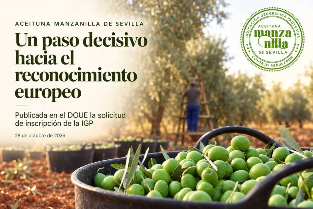 Cartel de la Manzanilla de Sevilla con aceitunas verdes en cestas y un olivar de fondo