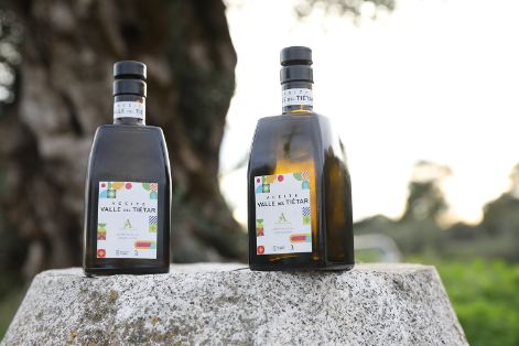 Botellas de aceite de oliva Virgen Extra Valle del Tiétar en un paisaje natural.