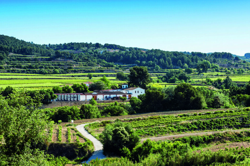 Vista panorámica de la bodega Massana Noya en Penedés