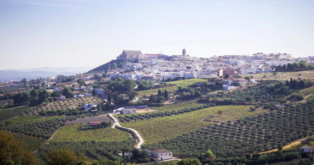 Vista panorámica de Montilla con viñedos y casas blancas