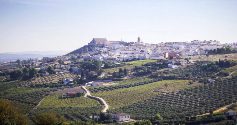 Vista panorámica de Montilla con viñedos y casas blancas