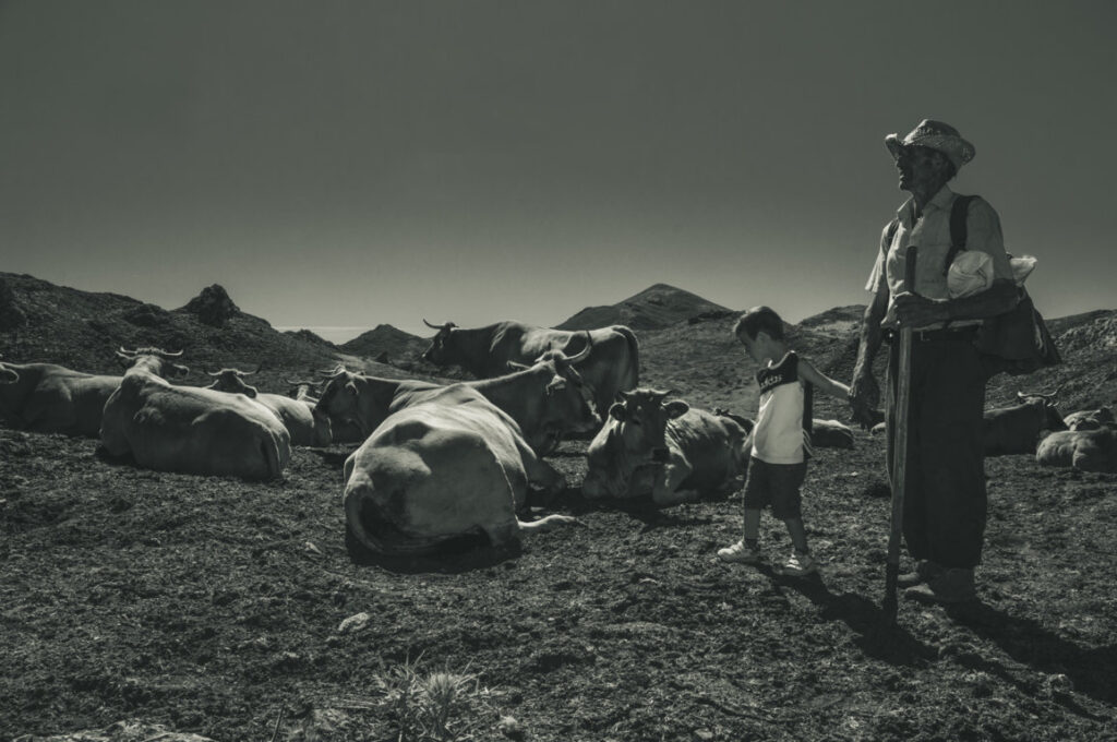 Fotografía en blanco y negro de un niño y un hombre junto a vacas