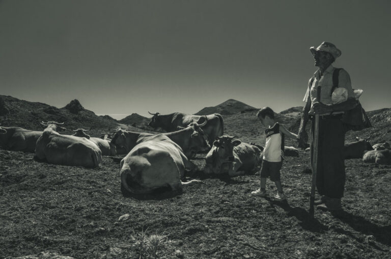 Fotografía en blanco y negro de un niño y un hombre junto a vacas