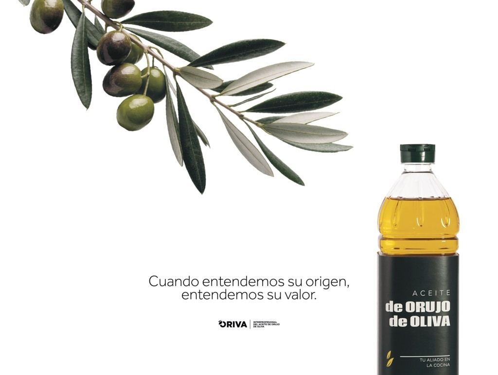 Diseño publicitario con rama de olivo, aceitunas y botella de aceite de orujo de oliva