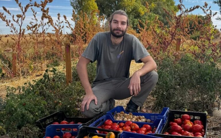 Persona agachada junto a cajas llenas de tomates y otros productos en un huerto