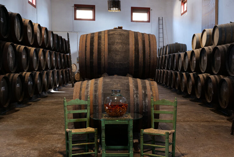 Interior de una bodega con barricas de vino y sillas verdes